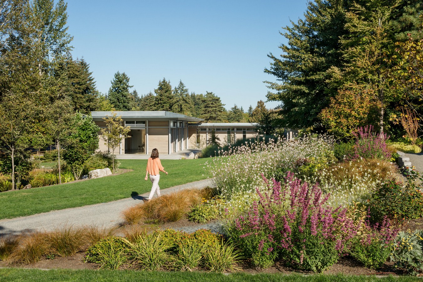 Bellevue Botanical Garden Visitor And Education Center By Olson