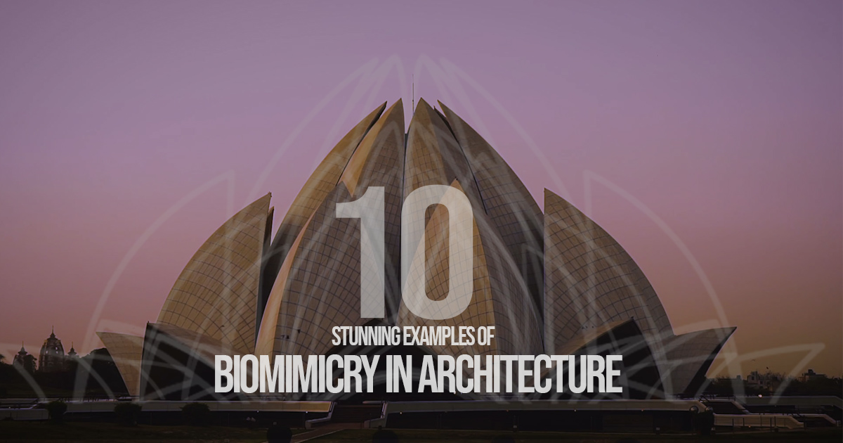 10 Stunning examples of Biomimicry in Architecture - RTF | Rethinking