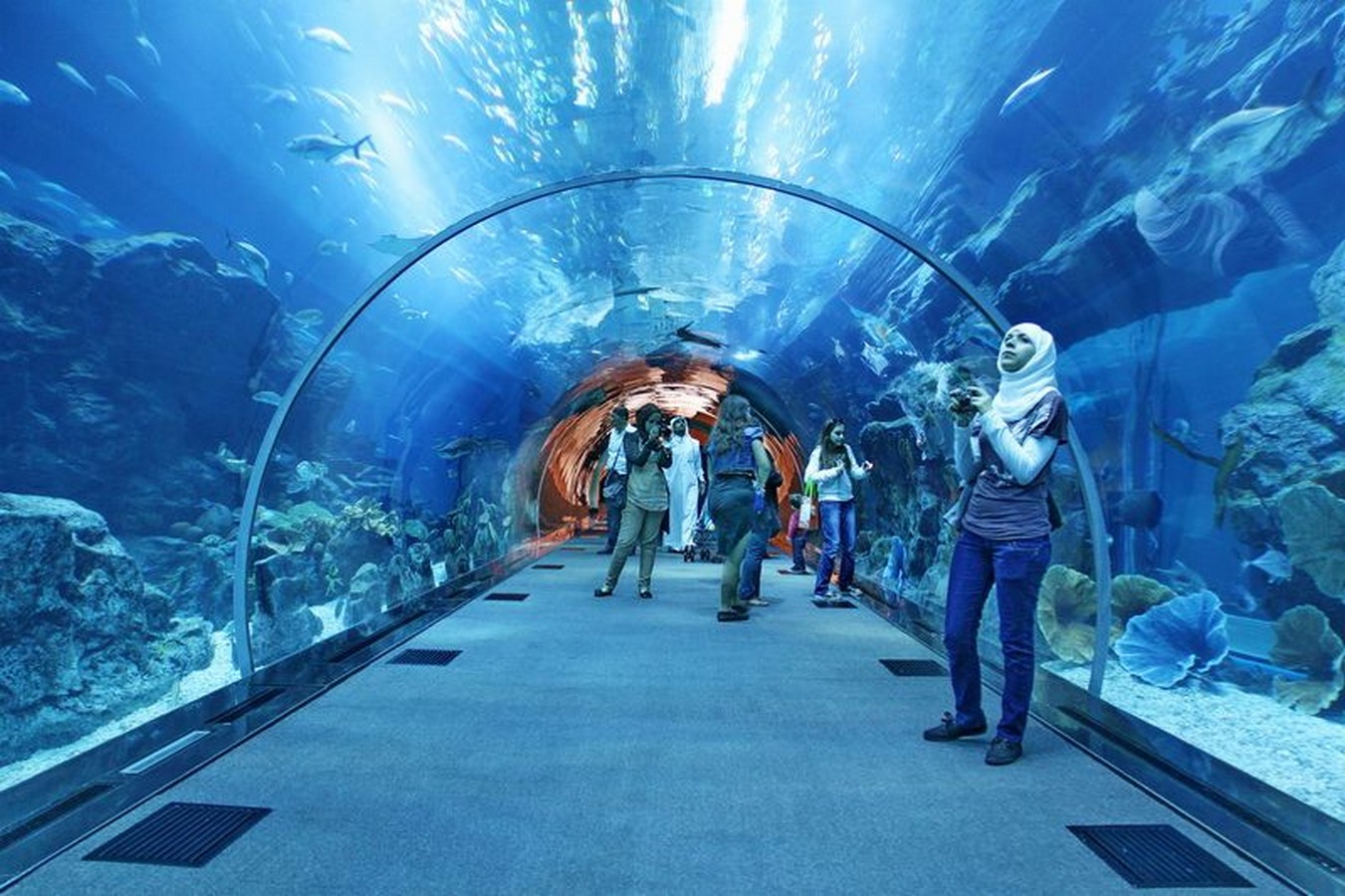 Дубай молл фото аквариума