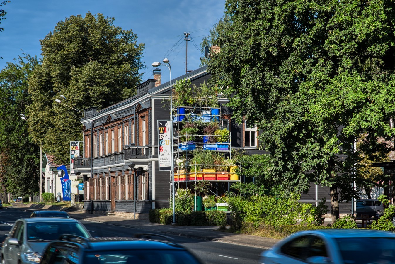 Riga's First Urban Vertical Garden To Test The Effect Of Urban Environment created by Annvil - Sheet9