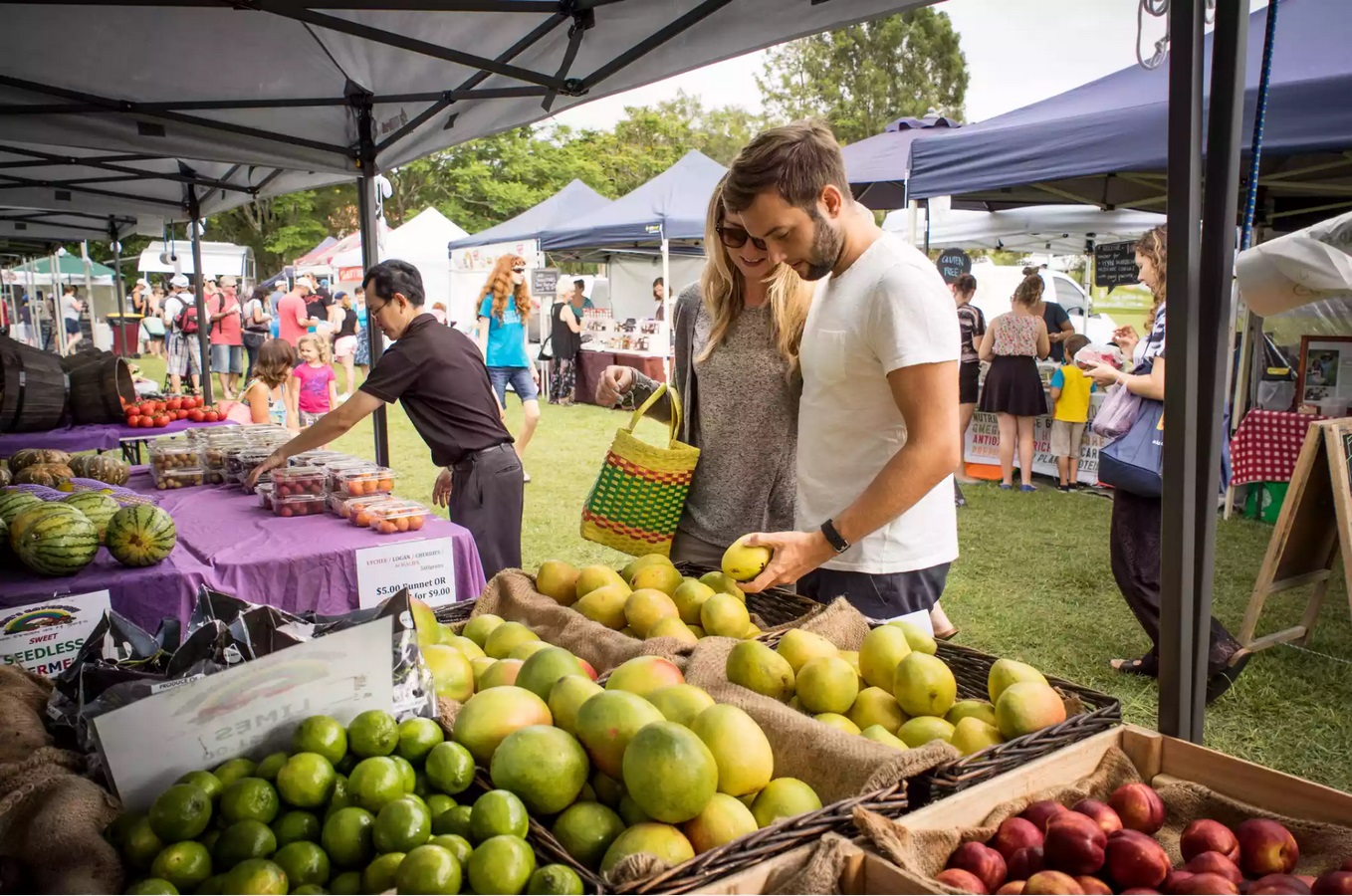 10 Ways to turn a city green - Sheet5