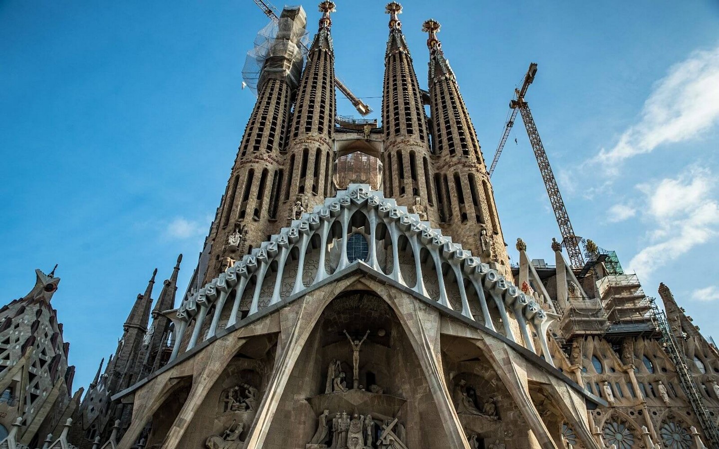 Biomorphism - Sagrada Família - Sheet1