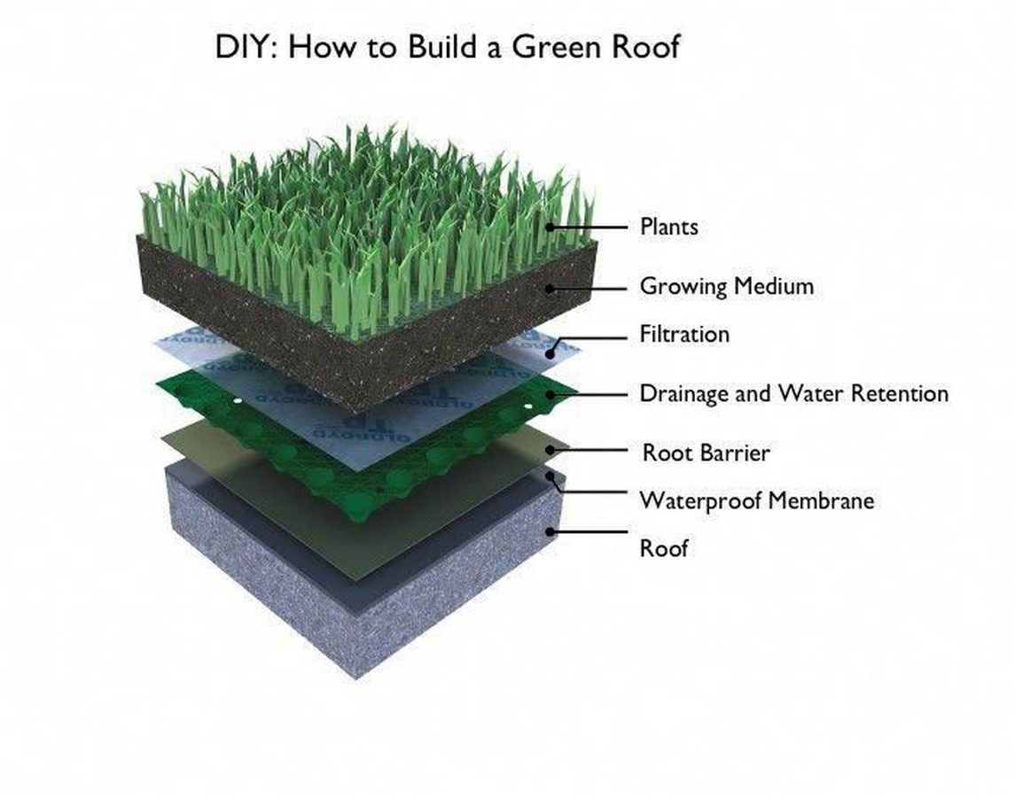 10 things to remember when designing rooftop gardens - RTF | Rethinking ...