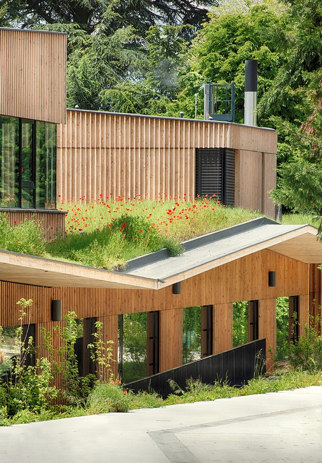 6 Things you did not know about Biophilic Design - RTF | Rethinking The