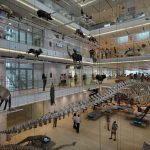MUSE – Museo delle Scienze by Renzo Piano - Sheet17