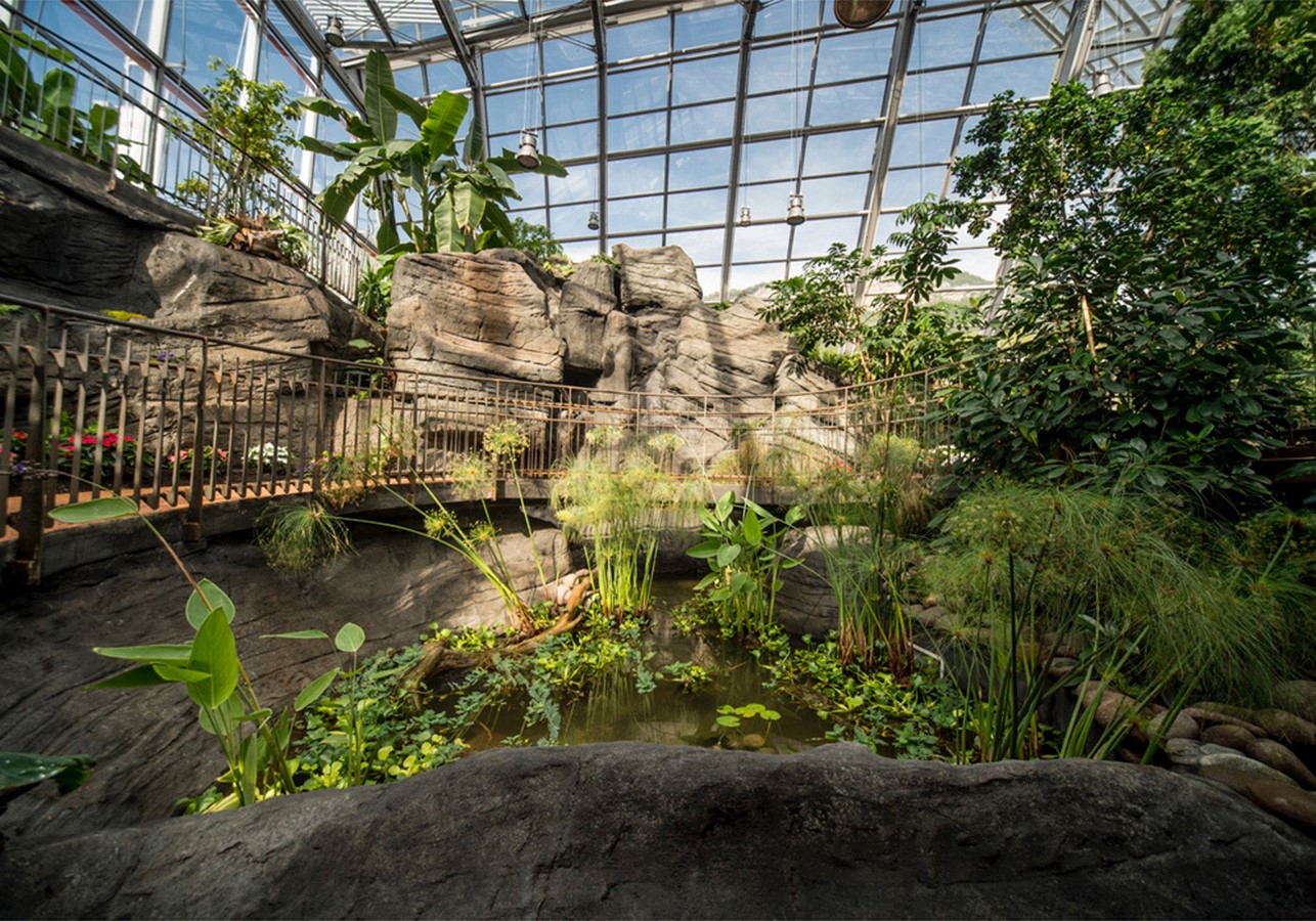 Inside the tropical greenhouse_©luoghi.italianbotanicalheritage