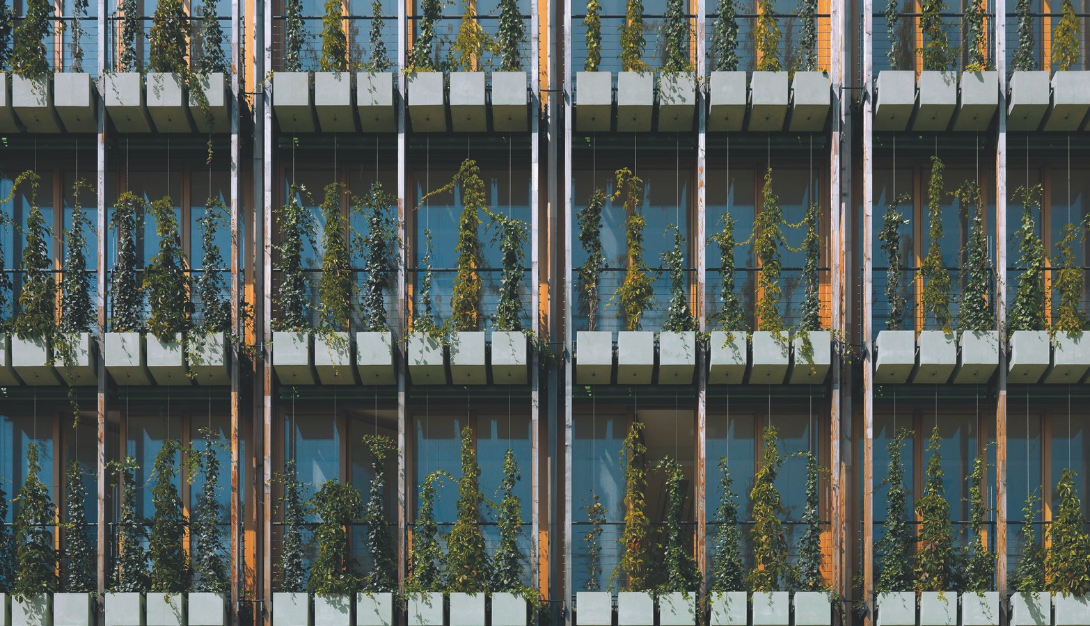Green facade on the east side_©arquitecturaviva