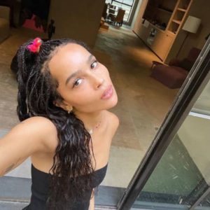 Zoë Kravitz House: An inside look at all the houses owned by Zoë Kravitz