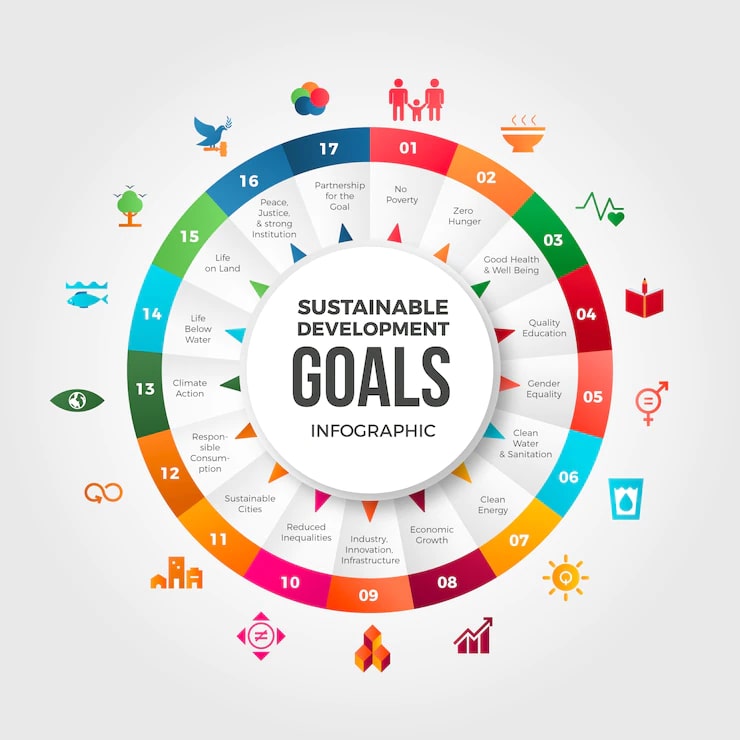 What Are Sustainable Development Goals - RTF | Rethinking The Future