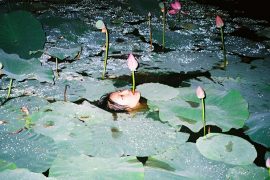 Life of the Artist: Ren Hang - RTF | Rethinking The Future