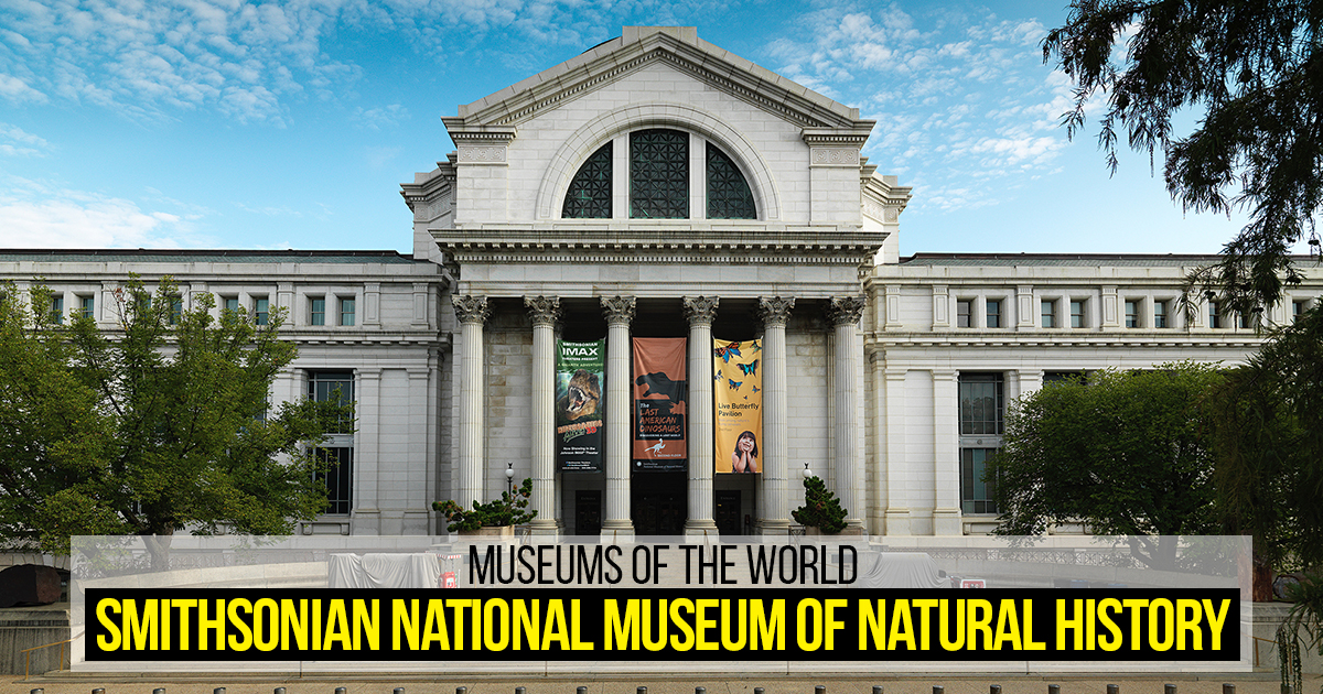Museums Of The World Smithsonian National Museum Of Natural History Rtf Rethinking The Future 9540